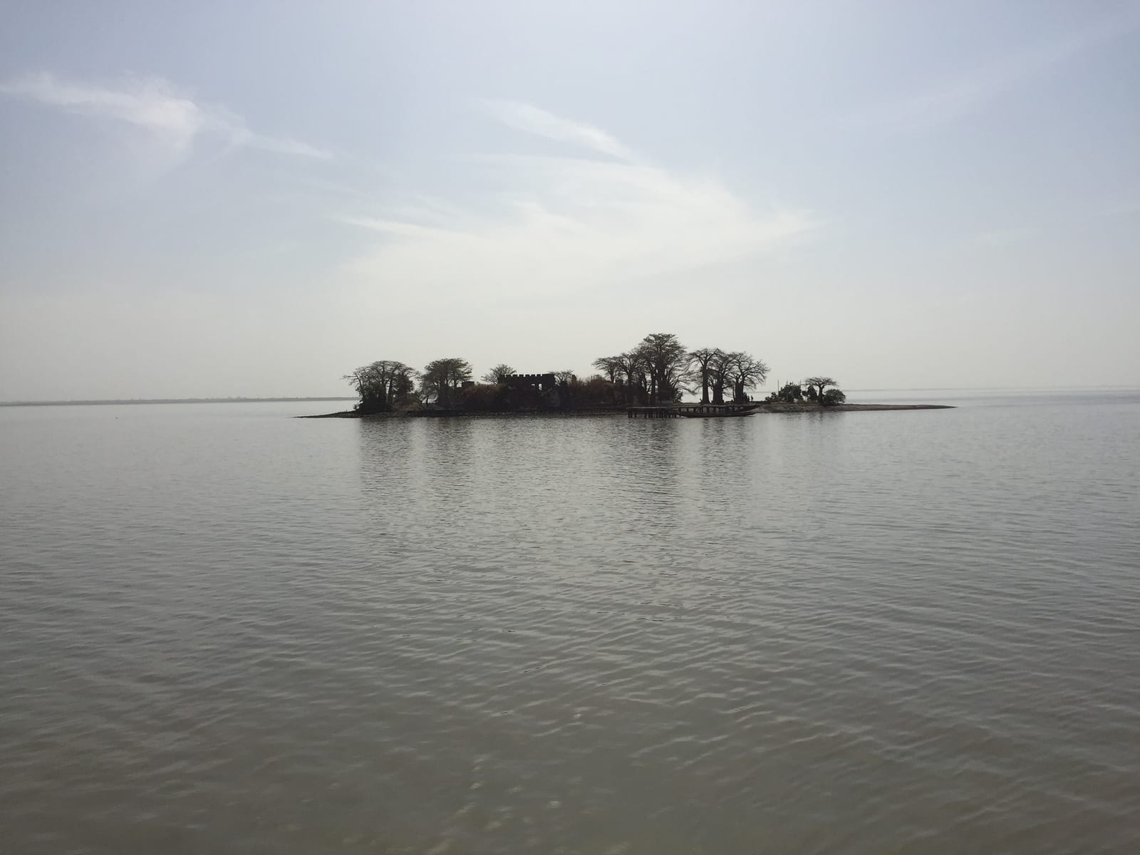 Kunta Kinteh Island and its baobabs in the River Gambia